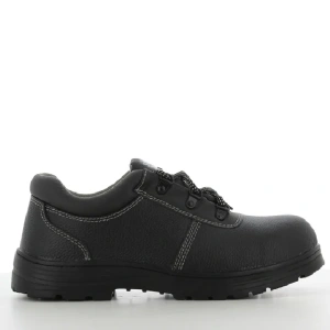 RENA S3 | 29 RENA S3